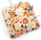 32pcs Artificial Flowers Rose Centerpieces Arrangements (Champagne Powder)